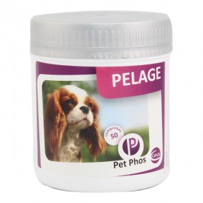 Pet-phos pelage chien 450 comprimés