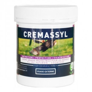 Greenpex Cremassyl crème grasse 1L