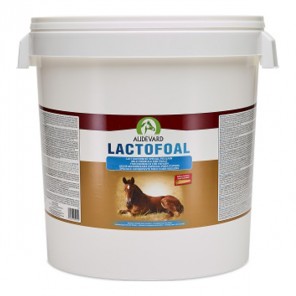 Audevard Lactofoal lait maternisé spécial poulain 14kg