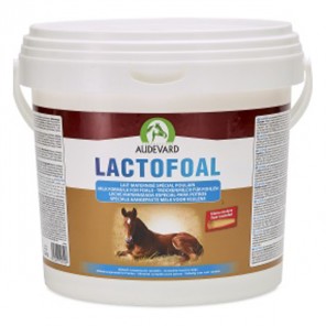 Audevard Lactofoal lait maternisé spécial poulain 14kg