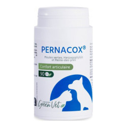 Greenvet Pernacox chien et chat 90 comprimés