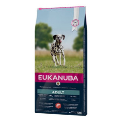 Eukanuba chien adulte de grande race croquettes saumon et orge 12kg