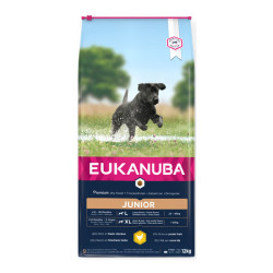 Eukanuba chien grande race croquettes poulet frais 12kg