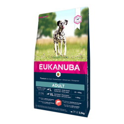 Eukanuba chien adulte de grande race croquettes saumon et orge 2,5kg