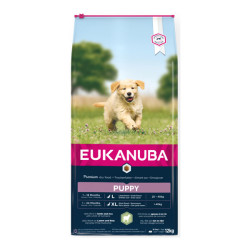 Eukanuba chiot grande race croquettes agneau et riz 12kg