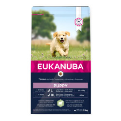 Eukanuba chiot grande race croquettes agneau et riz 2,5kg