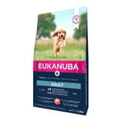 Eukanuba chien adulte petite et moyenne race croquettes saumon et orge 2,5kg