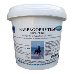 Bonne Harpagophytum racine 100% pure poudres 1kg