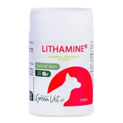 Green Vet reins chien Lithamine 30 comprimés