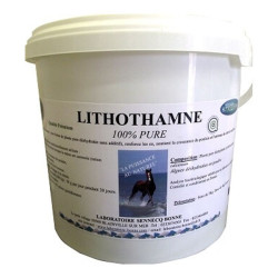 Laboratoire bonne cheval lithomane 100% pure 1kg