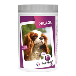 Ceva Pet-Phos pelage chien 450 comprimés