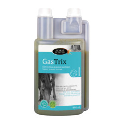 Horse Master Gastrix 946ml