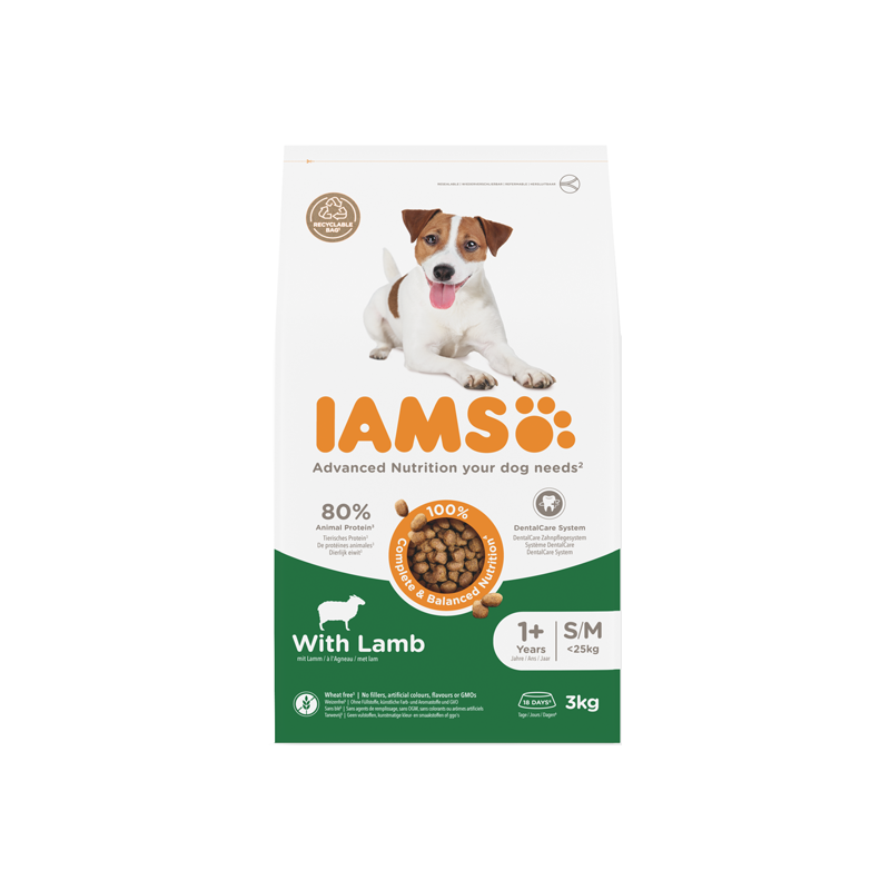 Iams  Advanced Nutrition chien adulte petite et moyenne race croquettes agneau 3kg